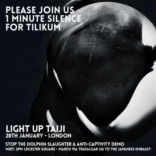 1 minute silence for Tilikum