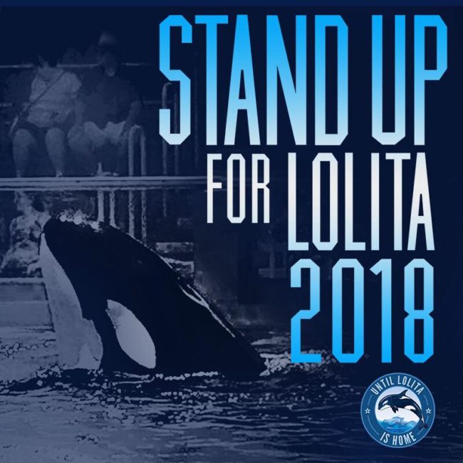 stand up for lolita 2018