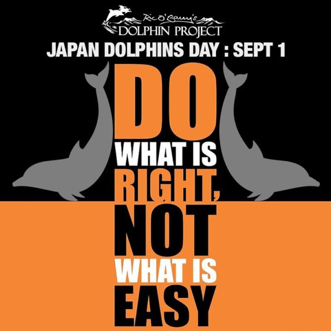 Do What is right, stop killing dolphins