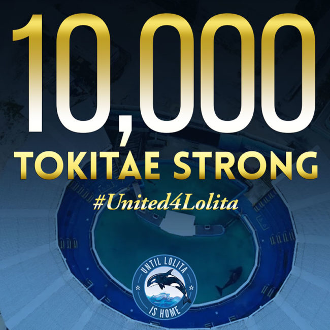 10,000 tokitae strong