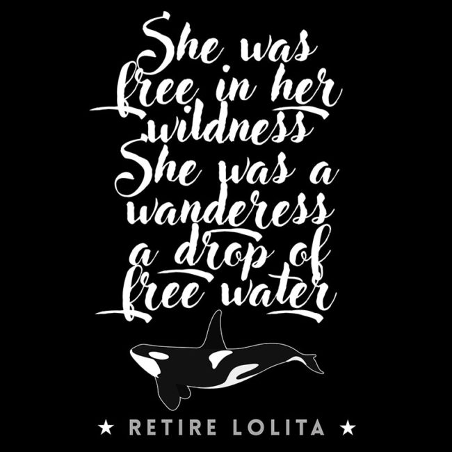 retire lolita