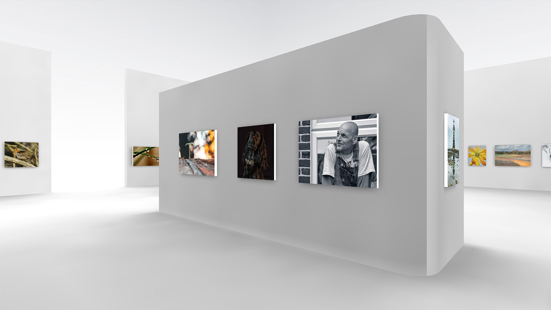 aymwc birthday exhibition