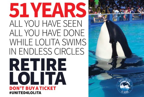 Lolita's lost time by jo