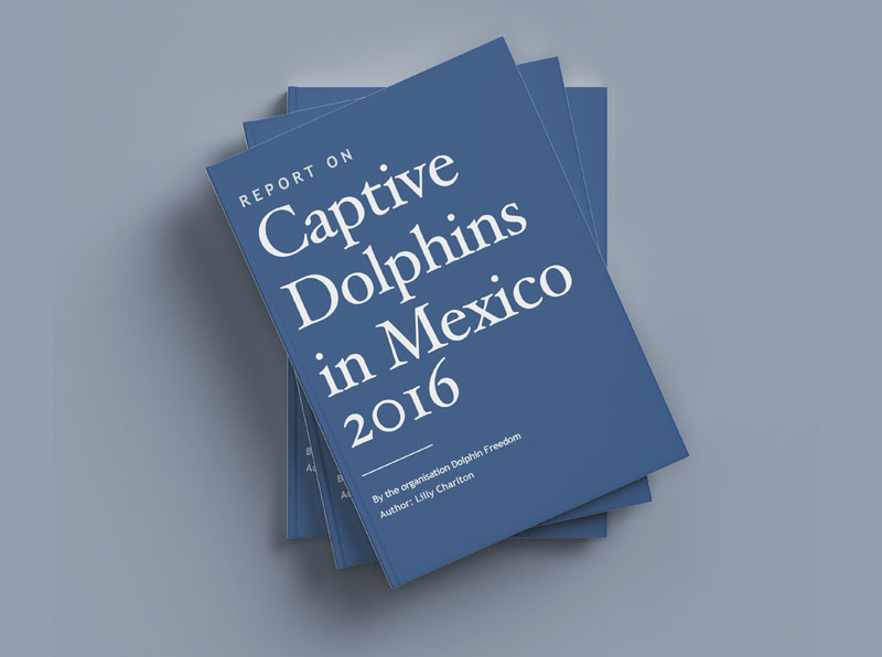captive dolphins report cover