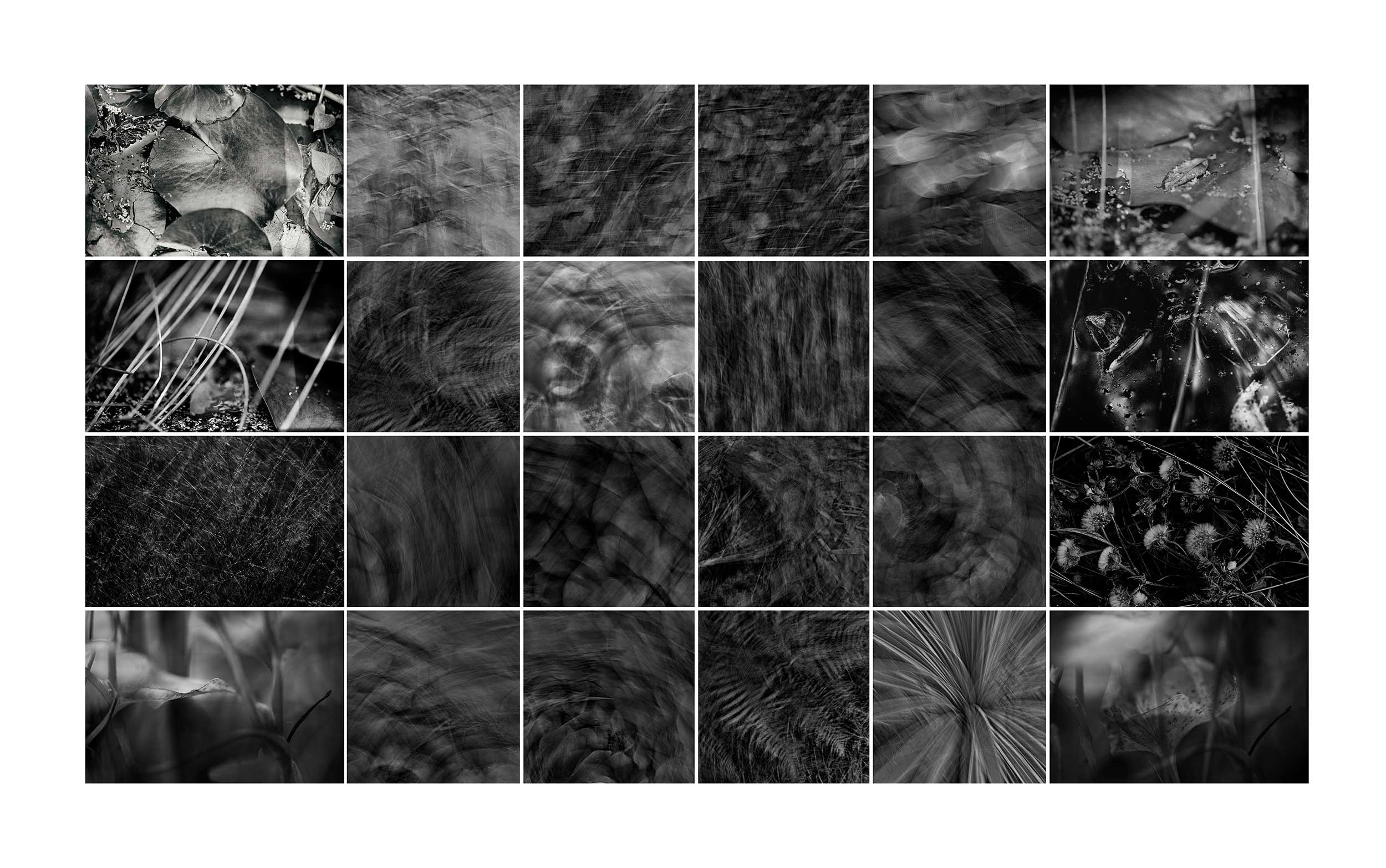EDPS Camera Club - Project B&W