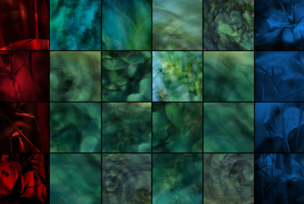 EDPS Camera Club Project