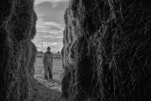 chris-haystack by Jo