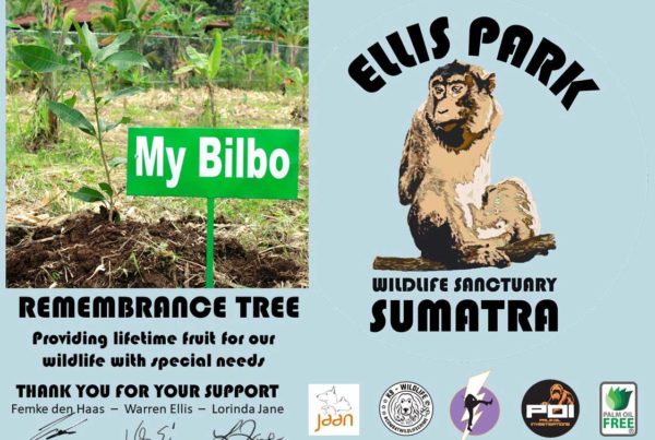 Ellisp ark certificate