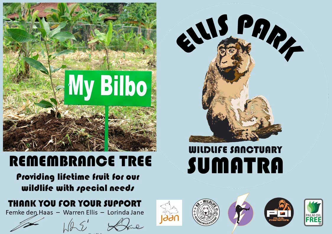 Ellisp ark certificate