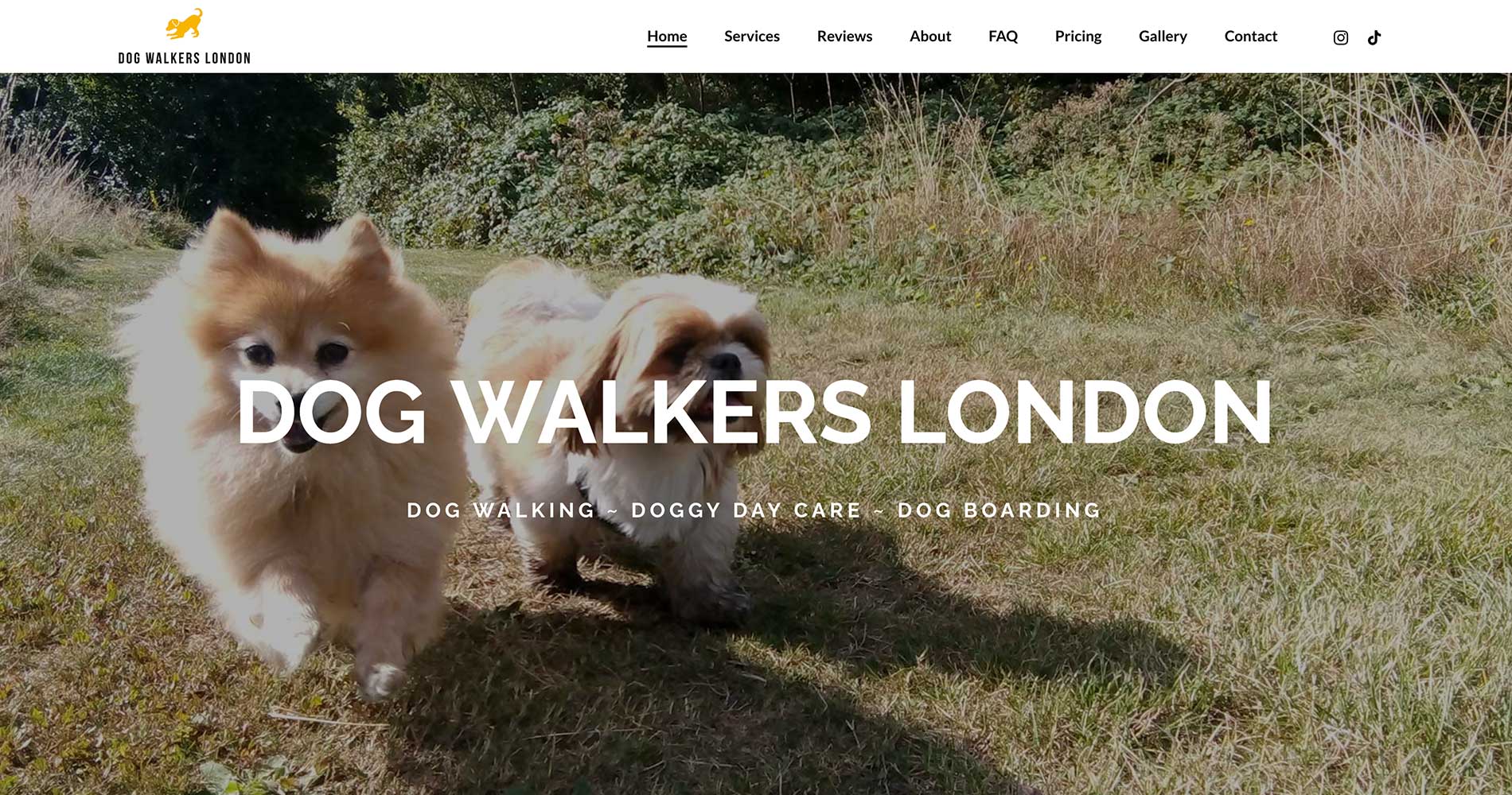Dog Walkers London web design
