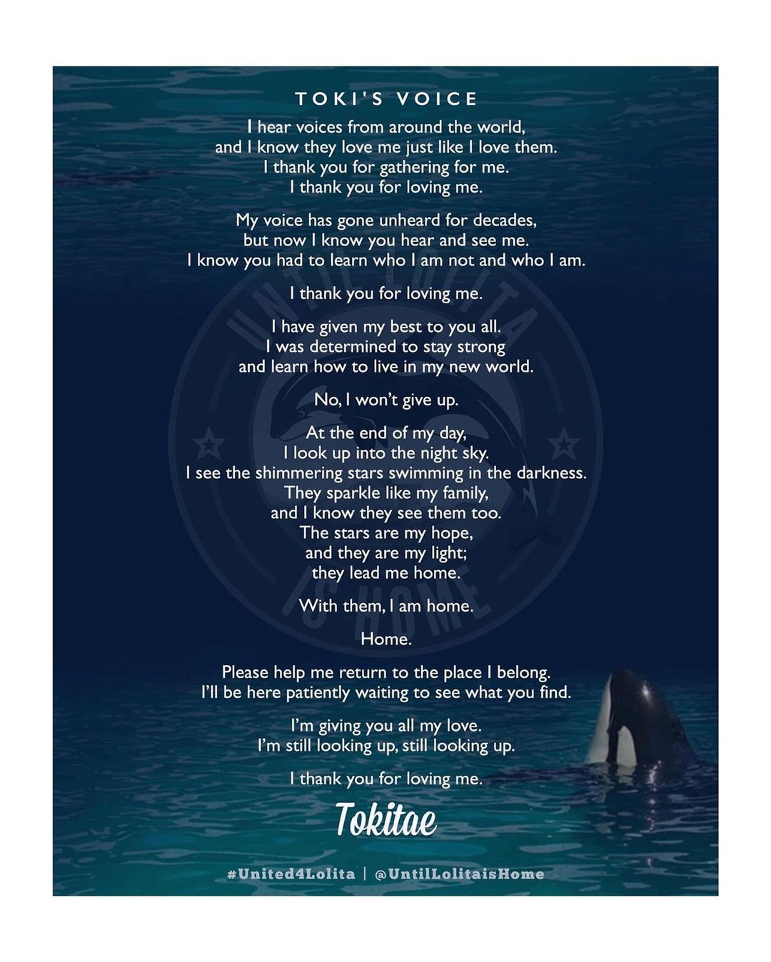 Toki's voice by Jo