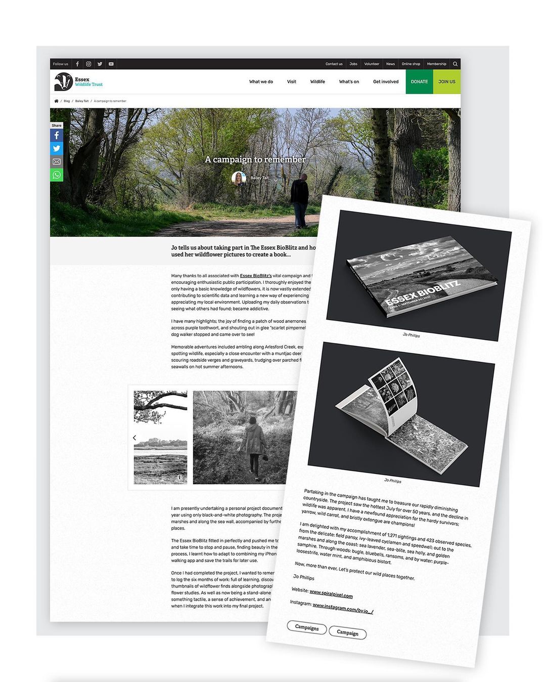 Article! - Jo Phillips