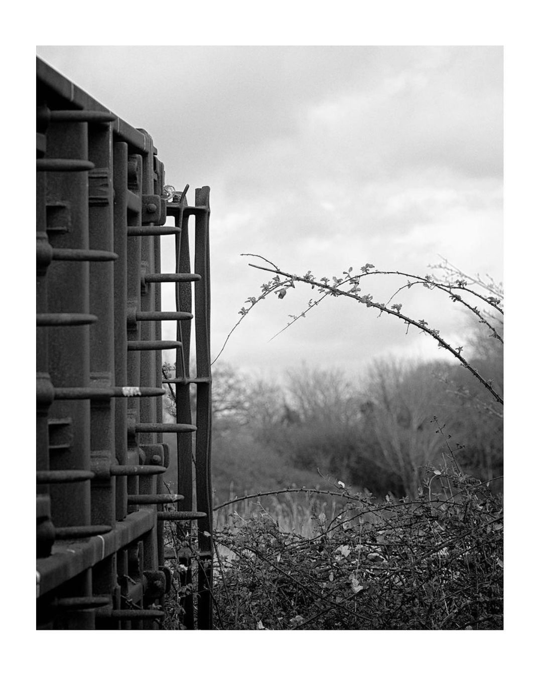 Structures on seawall - Jo Phillips