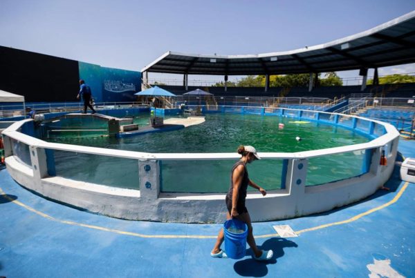 Just look. Could you live for over half a century in here? Shame on Miami,