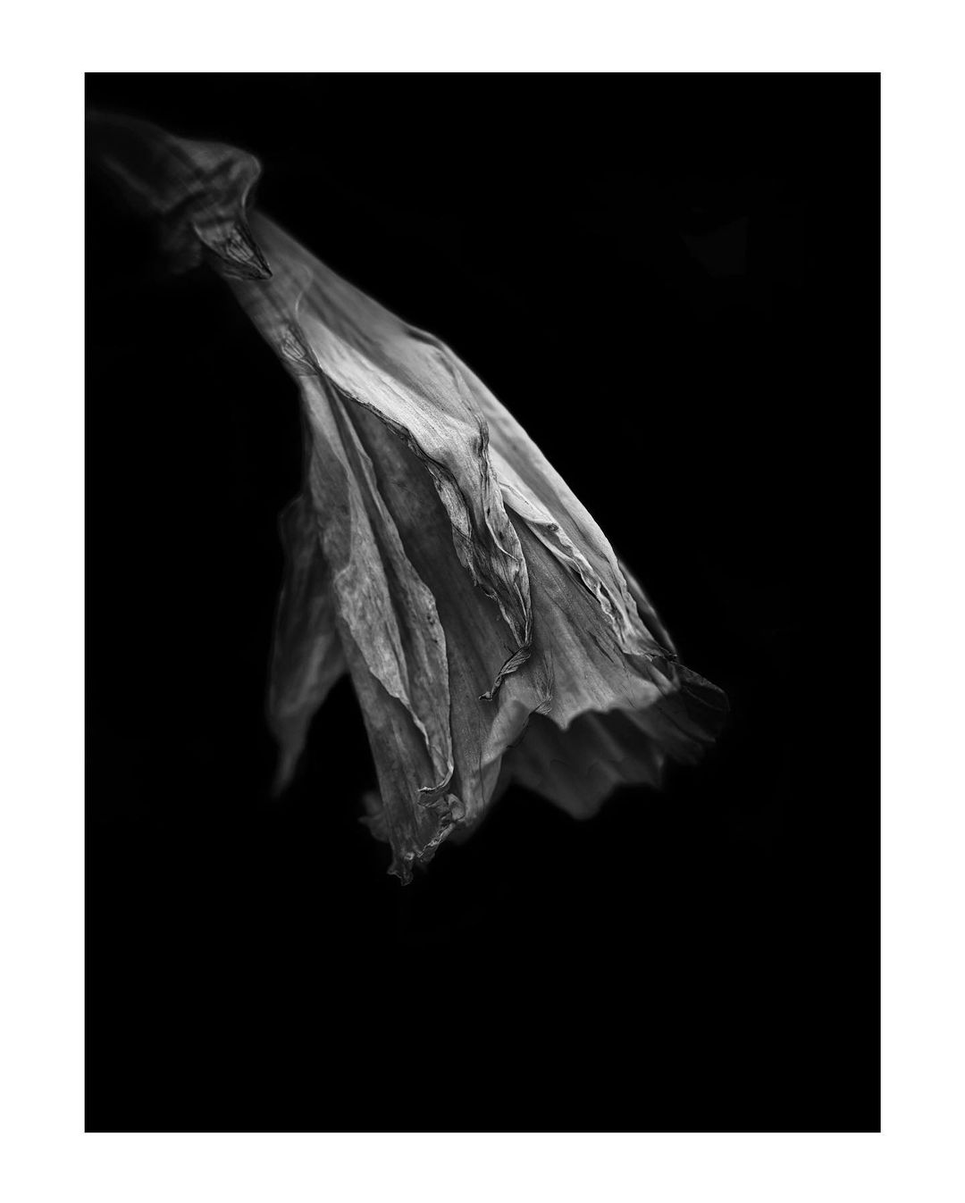 AprilProject-3