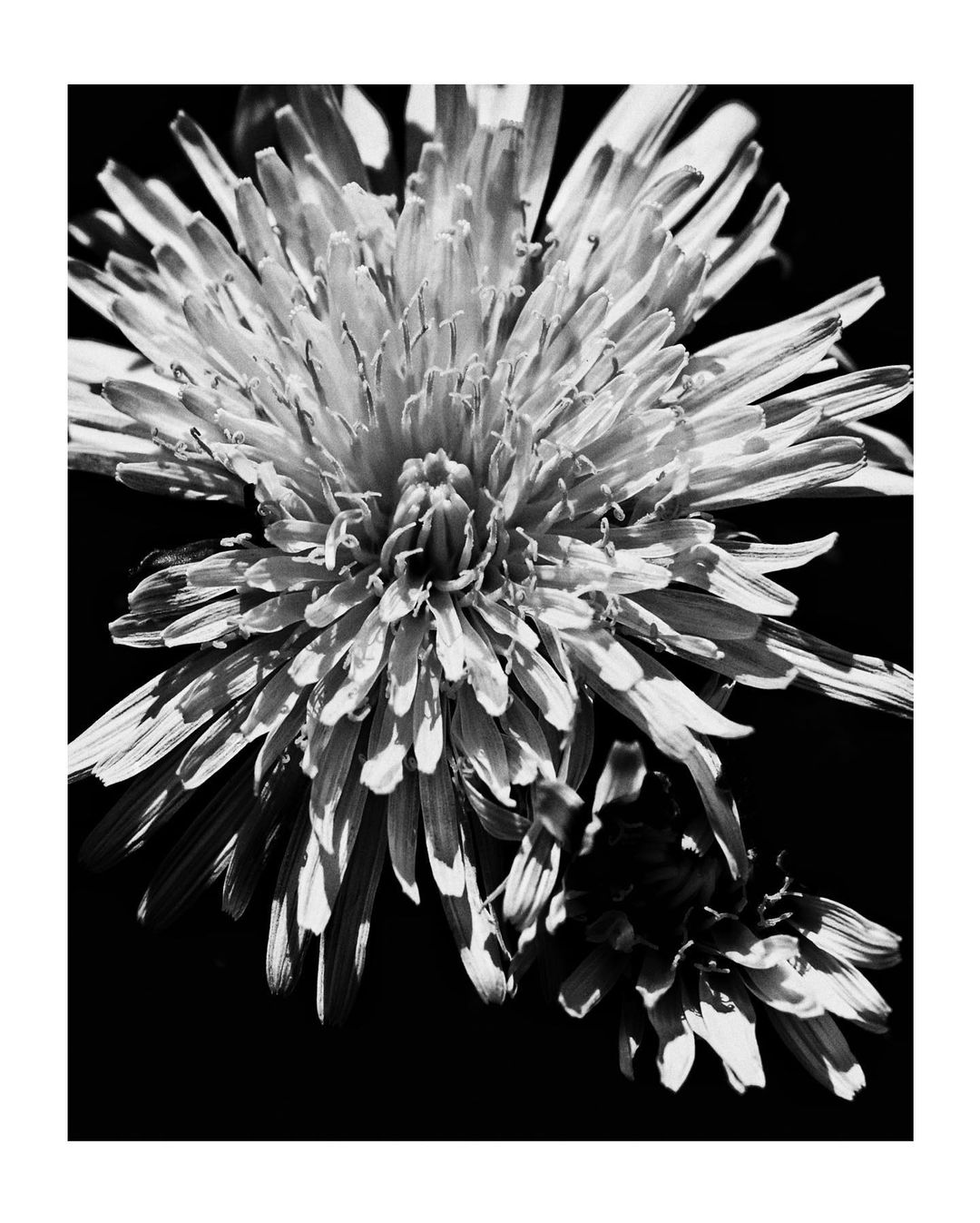 AprilProject-10
