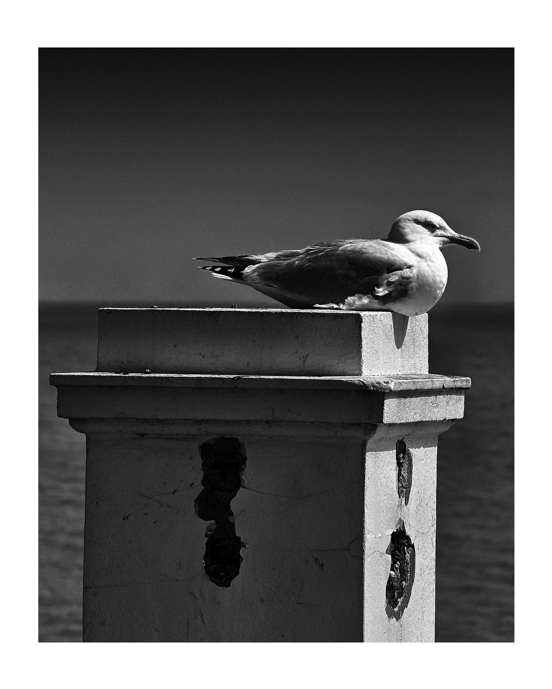 clacton-walton3