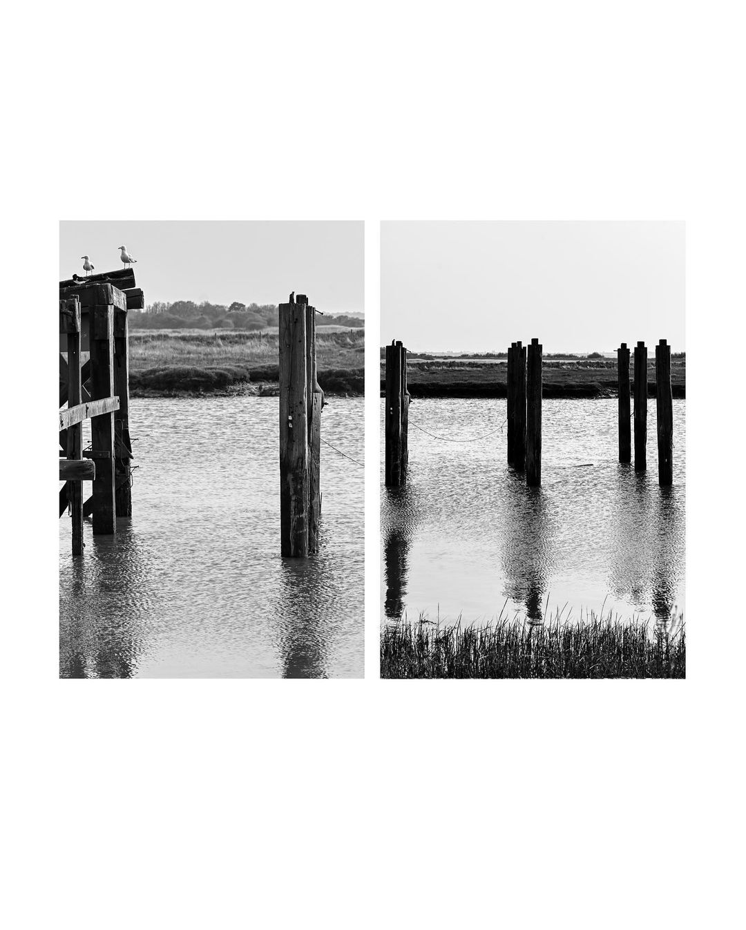 Arlesford Creek - Jo Phillips