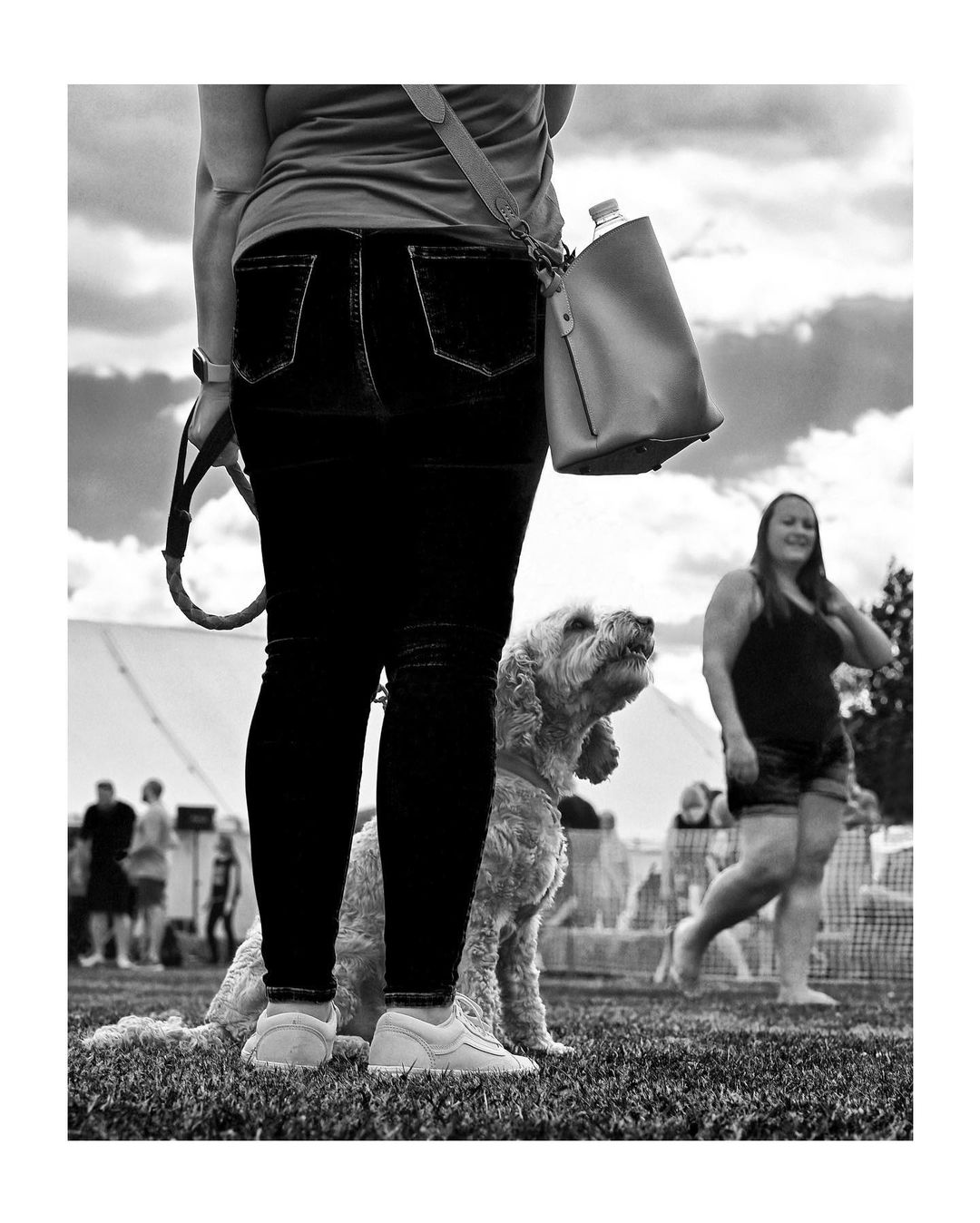 dogshow-5
