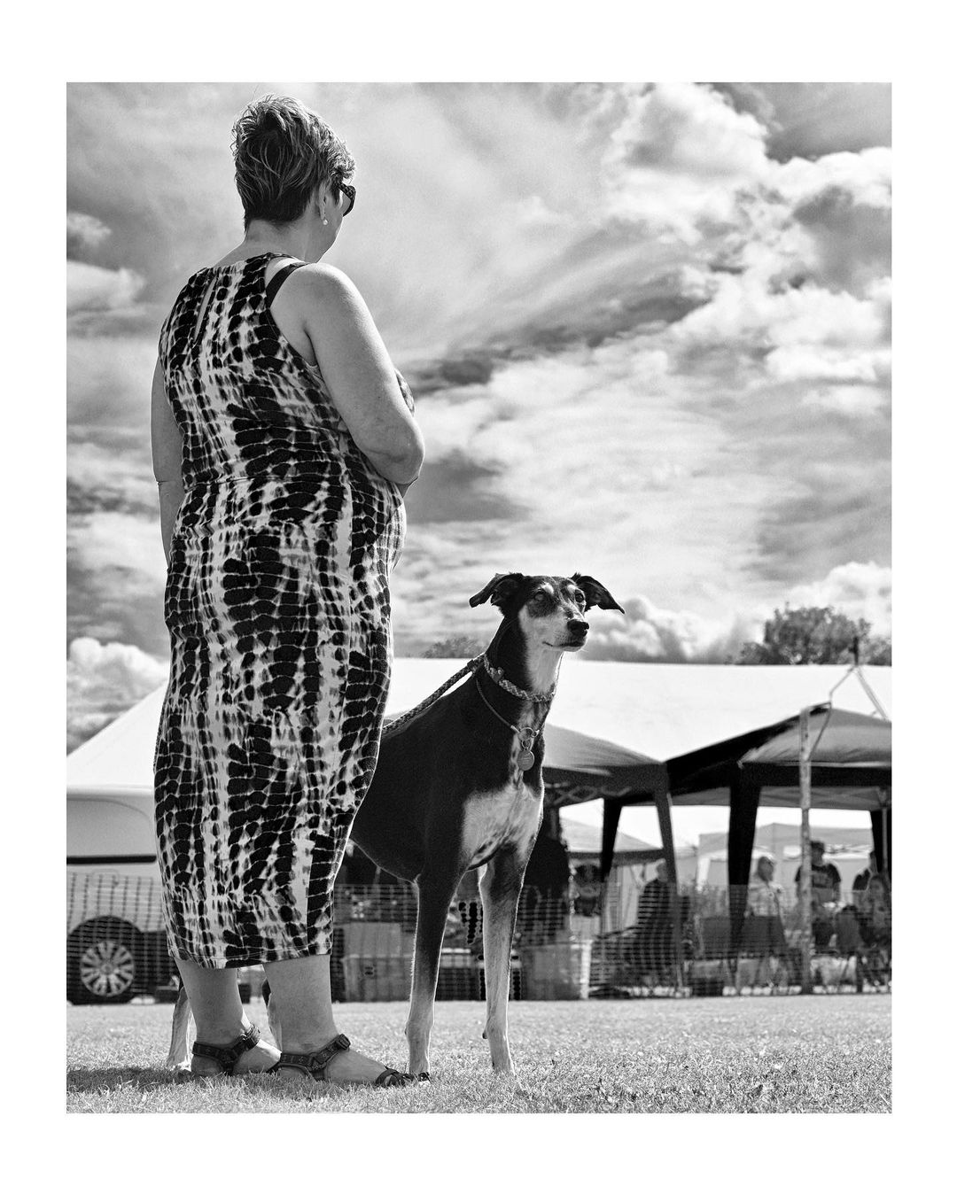 dogshow-6
