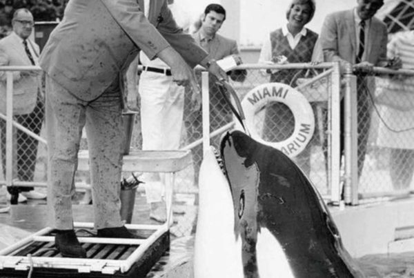 hugo miami seaquarium