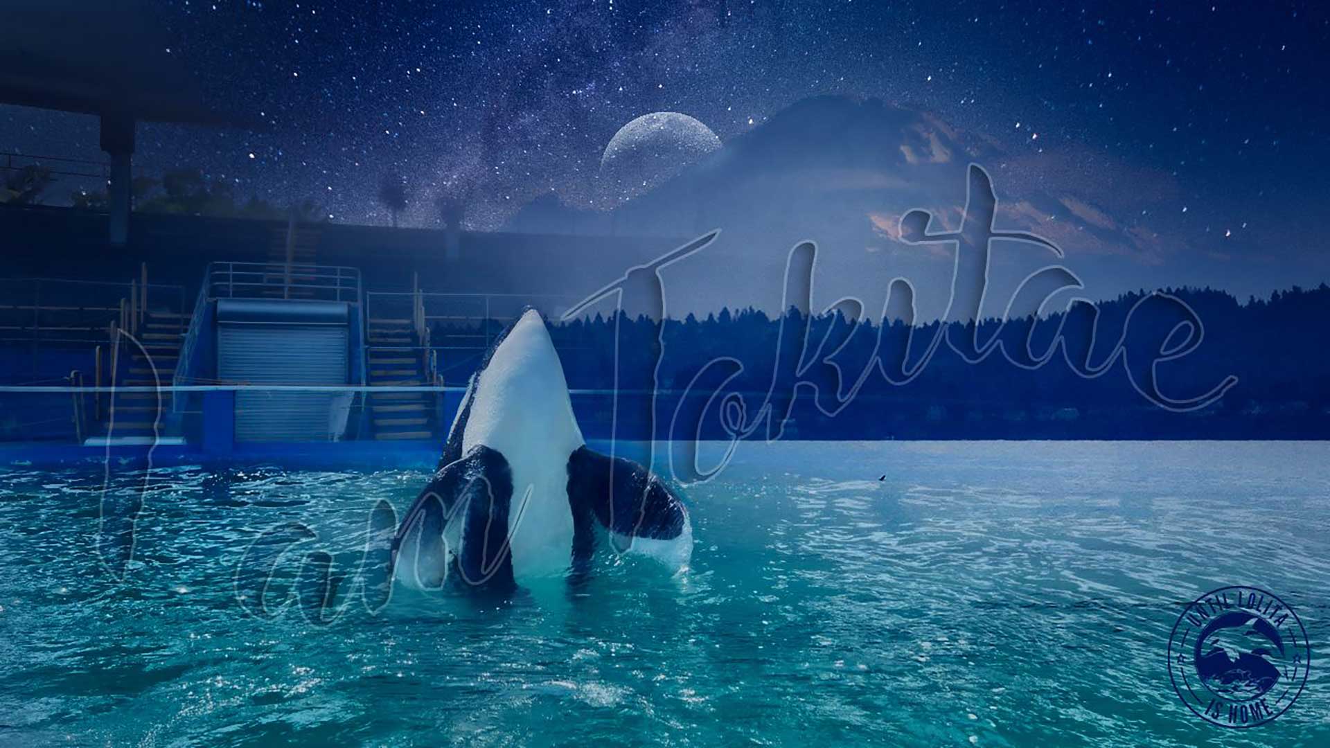 i-am-tokitae-by-jo-phillips