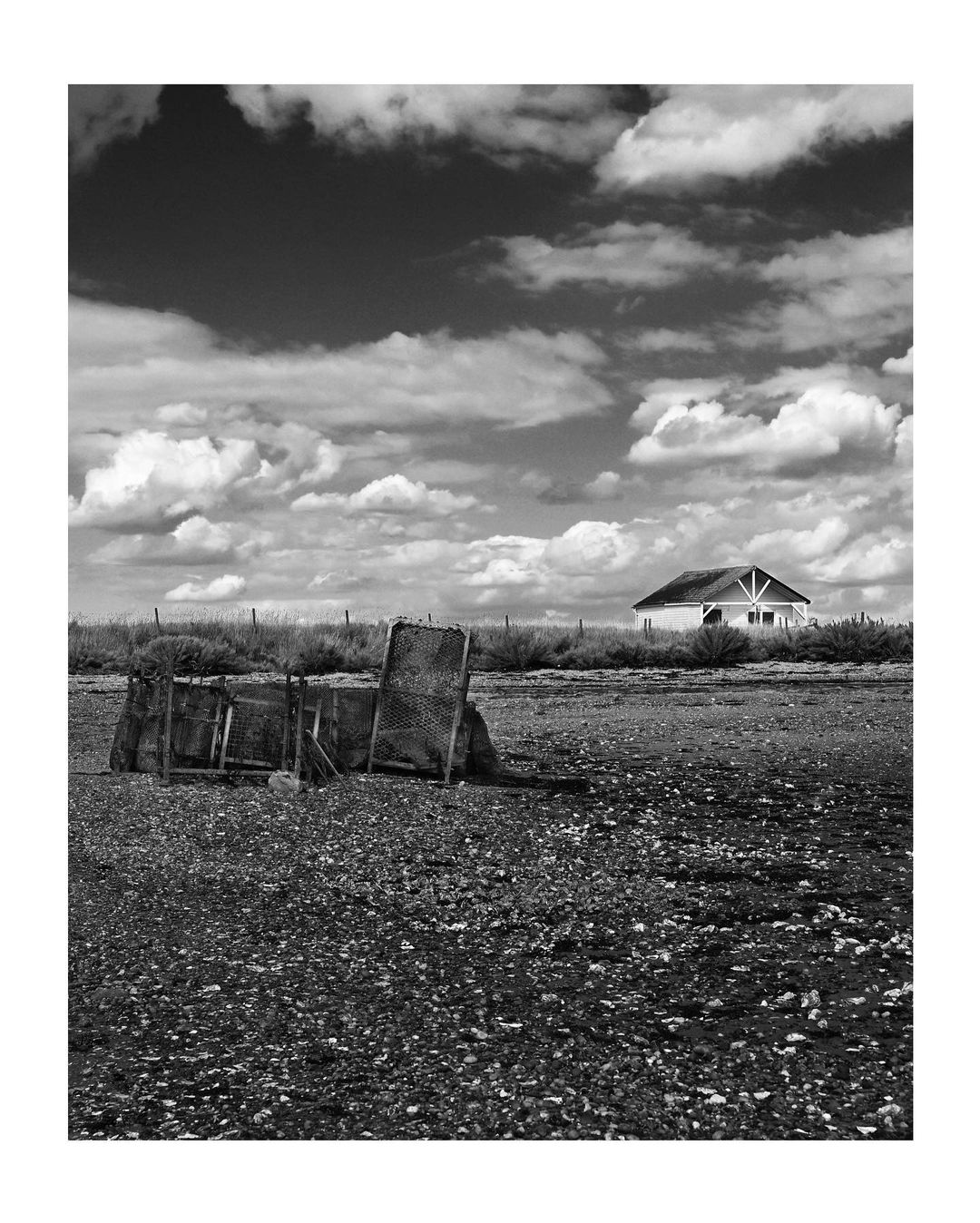 joyces-marsh-3
