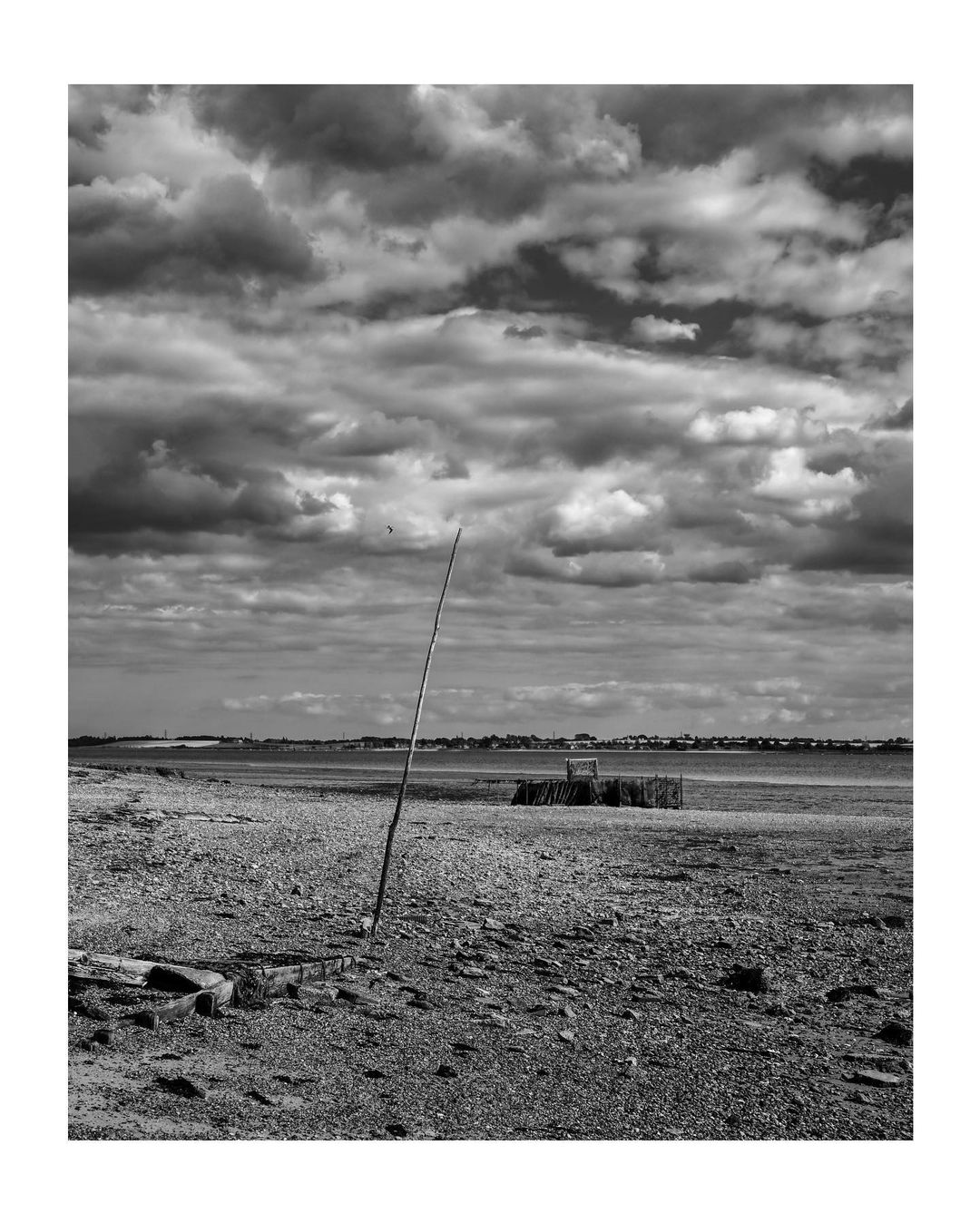 joyces-marsh-5
