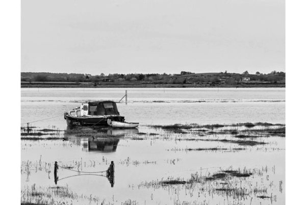 leavings15 - Jo Phillips