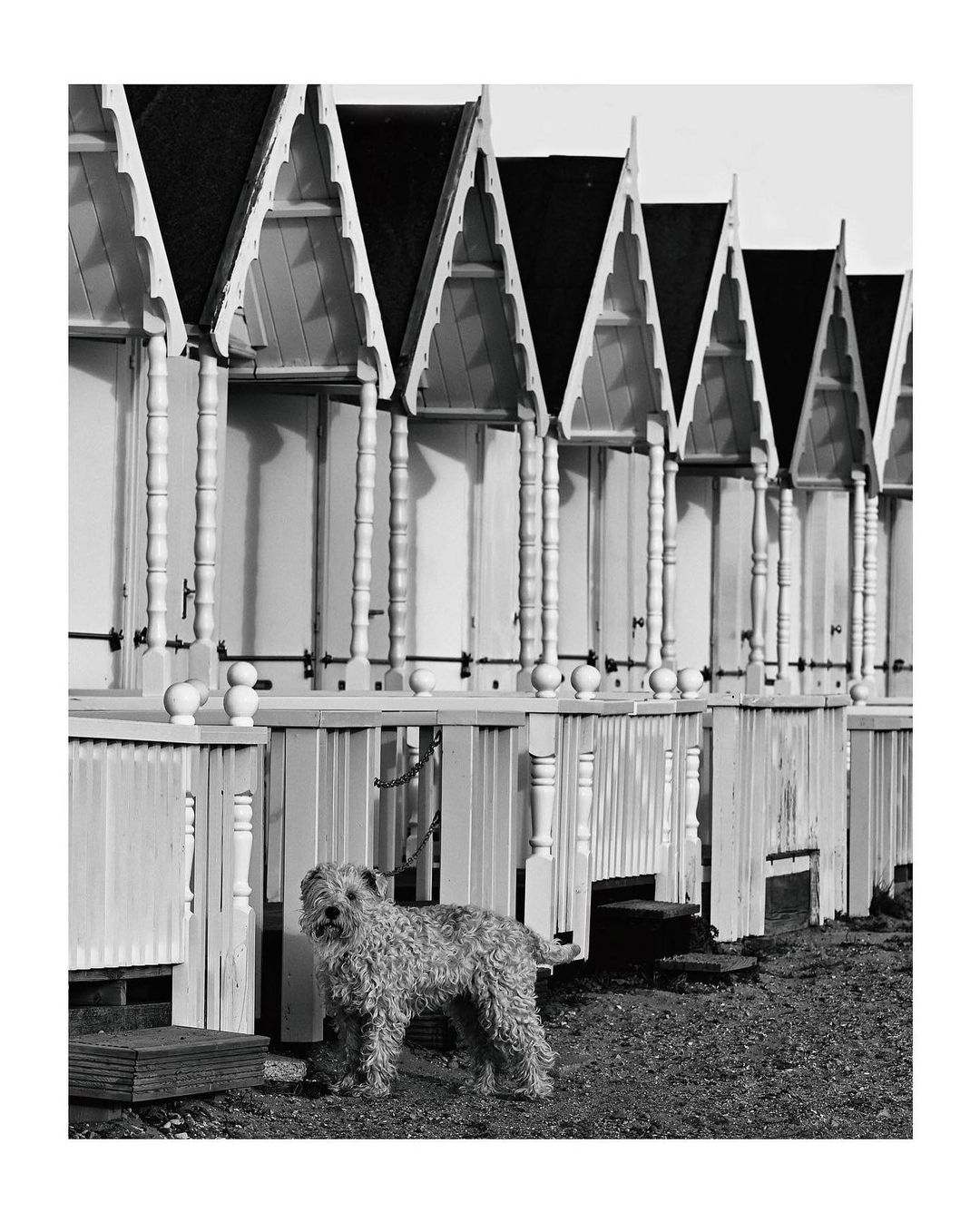 mersea-1