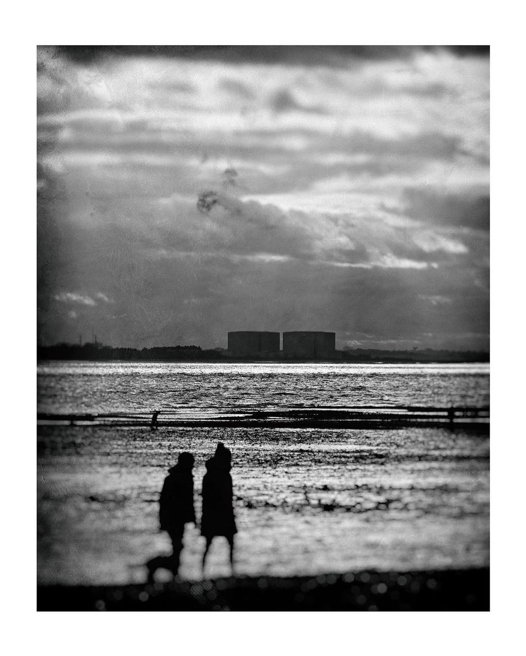 mersea-2