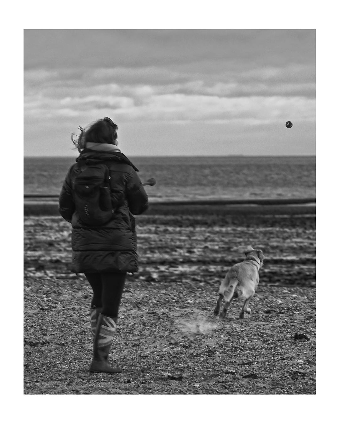 mersea-6