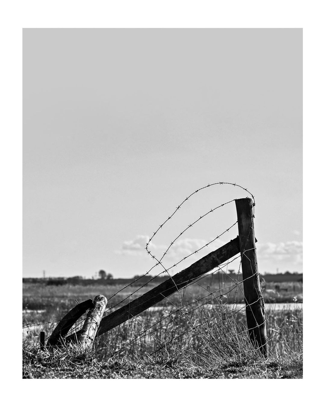 seawall-1