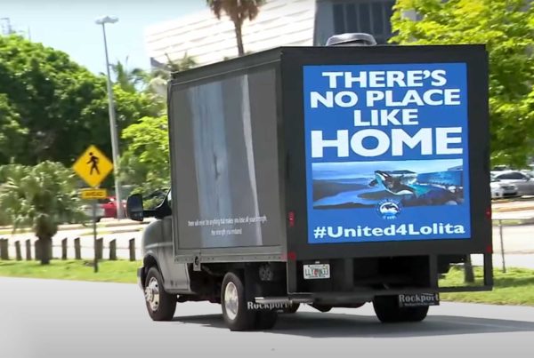 truck in miami designed by Jo Phillips