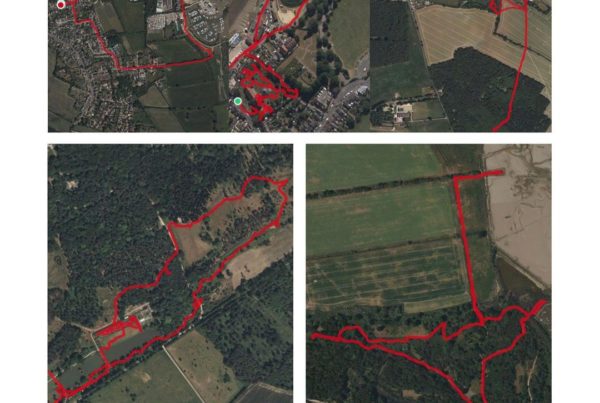 August 25 -September 1 Walking Diary Snaps