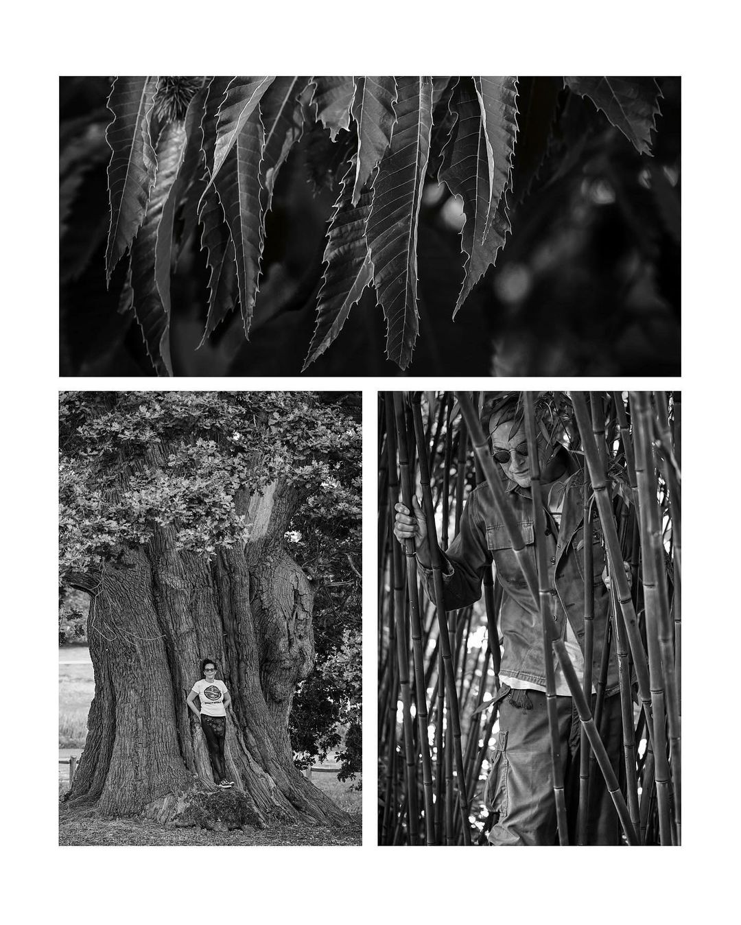 August 25 -September 1 Walking Diary Snaps