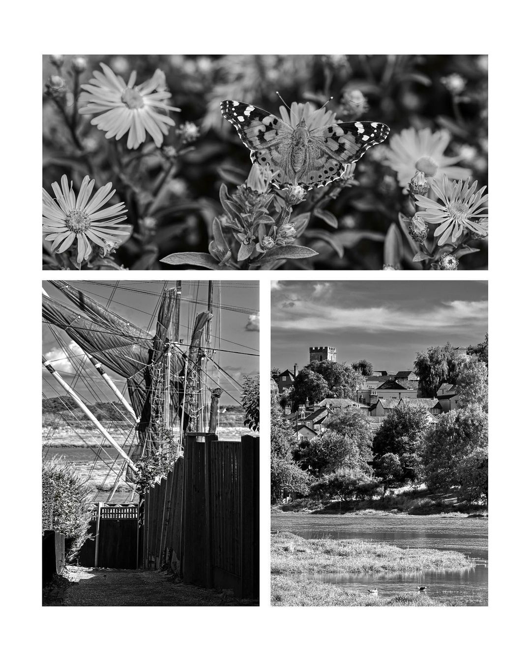 August 25 -September 1 Walking Diary Snaps