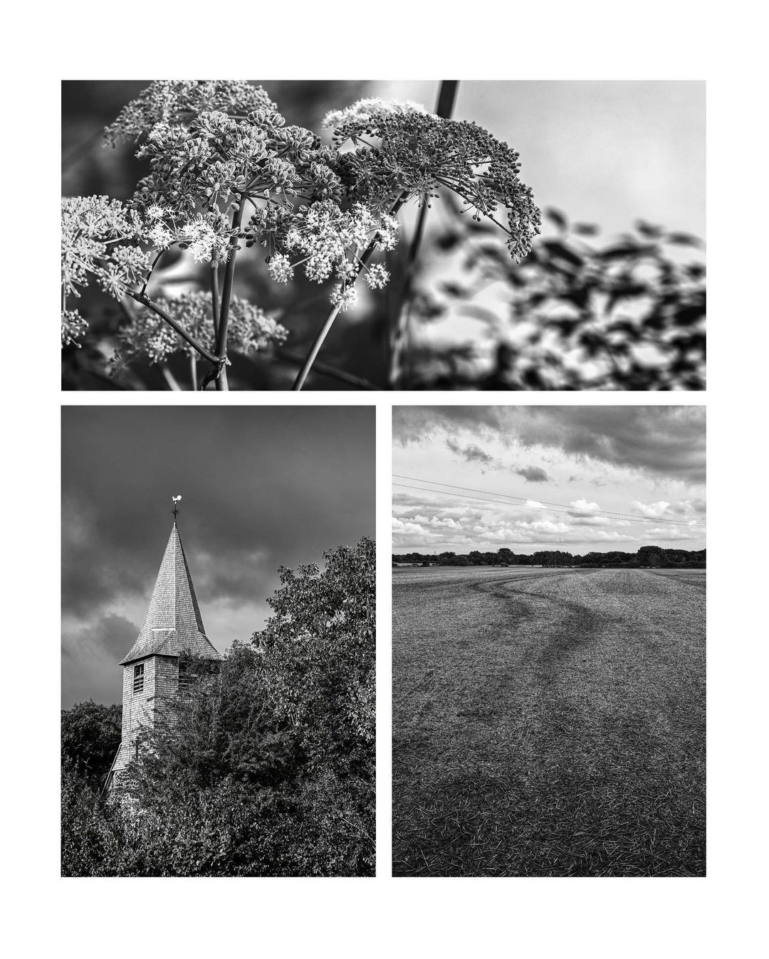 August 25 -September 1 Walking Diary Snaps
