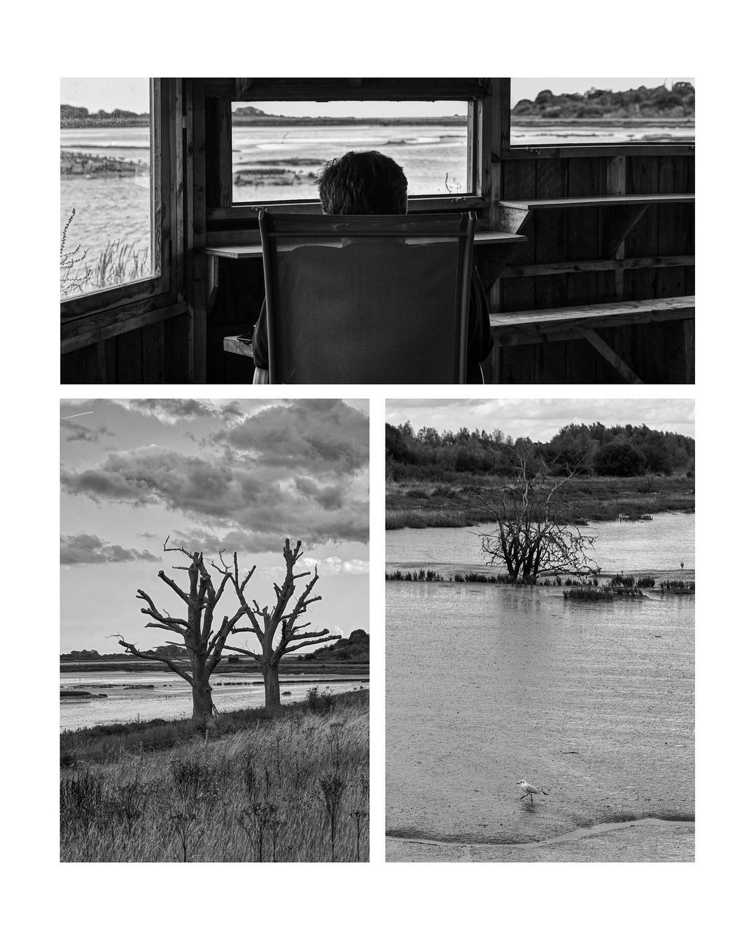 August 25 -September 1 Walking Diary Snaps
