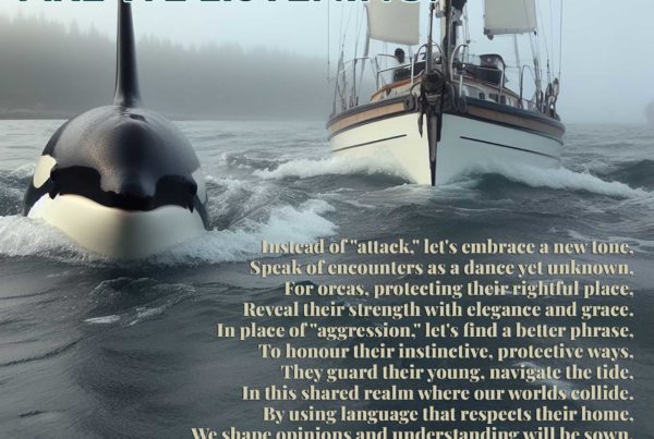 Pledge for the Iberian Orcas