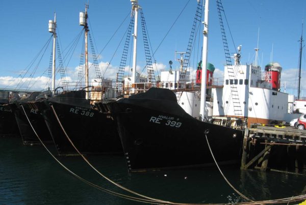 By Wurzeller - Own work, CC BY-SA 3.0