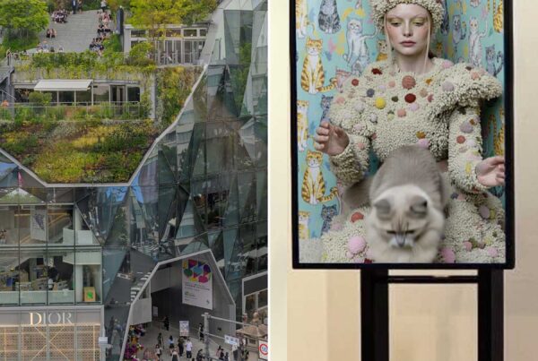 "NFFT2026_AI x CAT x FASHION . Living with Cats”