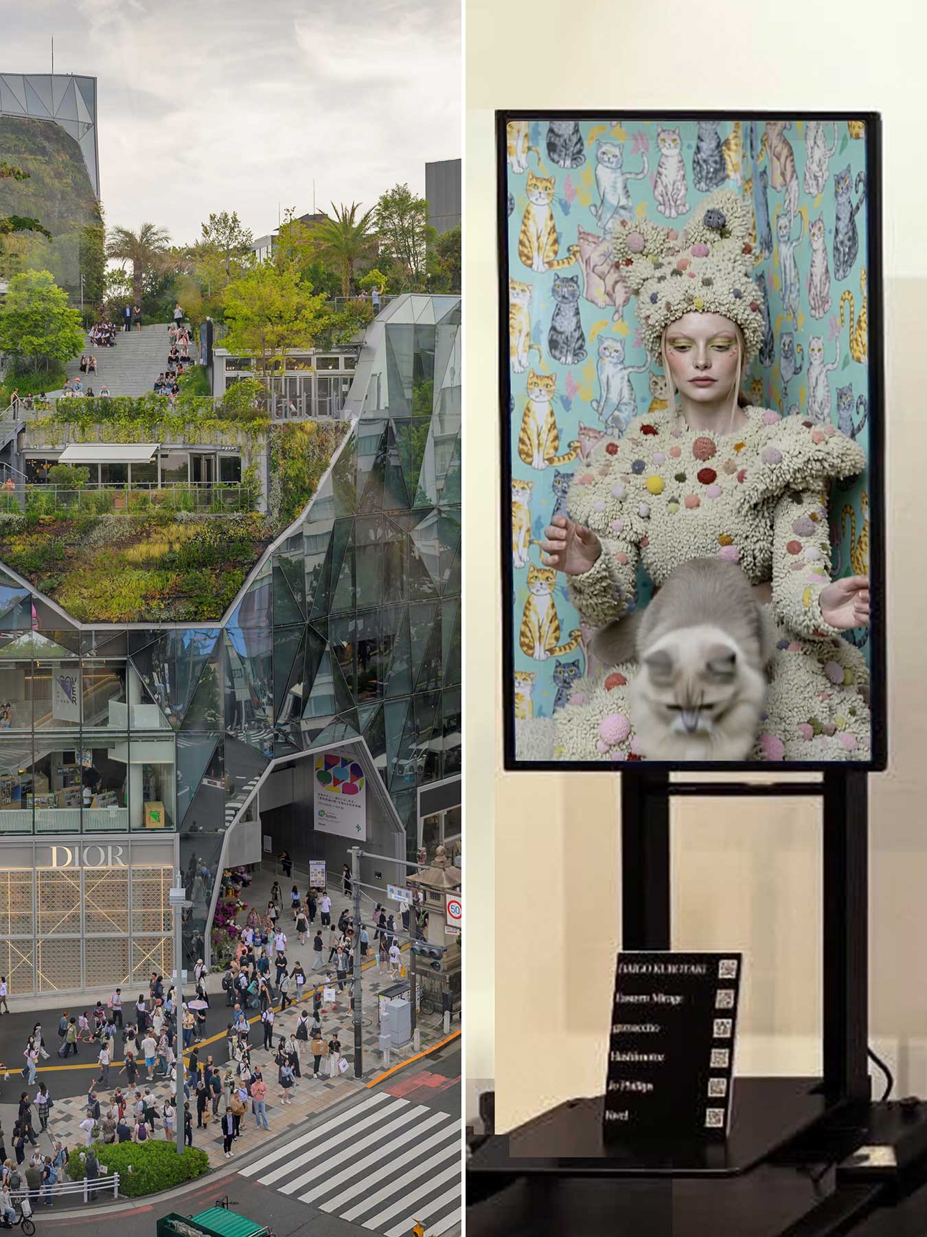 "NFFT2026_AI x CAT x FASHION . Living with Cats”